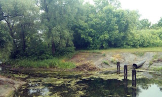 Экологические услуги от ПромМир-Блш в Балашихе - стоимость от 12304 руб.