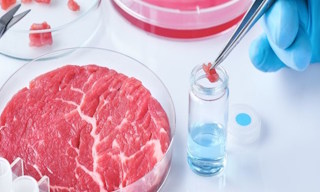 Лабораторный анализ пищевых продуктов по СанПиН в Балашихе в октябре