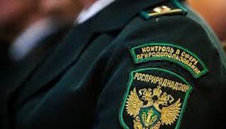 Подготовка к проверке Росприроднадзора в Балашихе от ПромМир, стоимость услуги от 20506 руб.